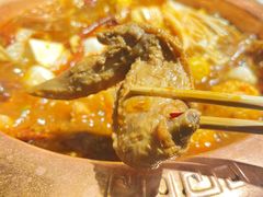 -隐酌火锅鸡(御河新城店)