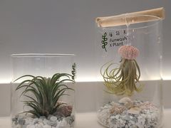 -爱欢洗ifunwash(北辰店)
