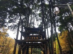 -青城山