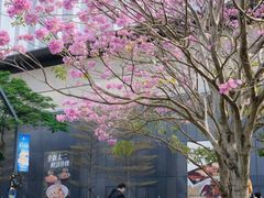 -东莞松山湖万象汇