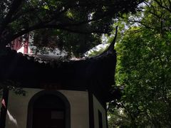 -上海佘山国家森林公园天马山园