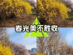 -长春公园(普阳街道)