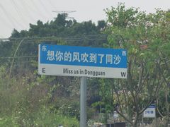 -东莞市大岭山森林公园