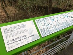 -西湖风景区-江洋畈生态公园