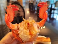 -圣丰索菲特·2 On 988 Café 自助餐厅