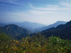 -大岭沟猕猴桃谷风景区