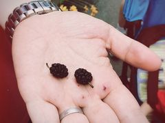 -北京宽沟会议中心