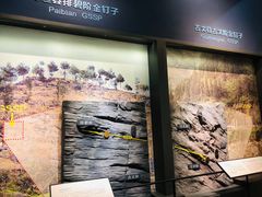 -湖南省地质博物馆