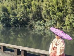 -石台牯牛降景区