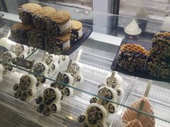-野人先生现做冰淇淋(西安赛格店)