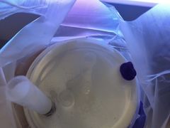 -一只酸奶牛(来福士店)