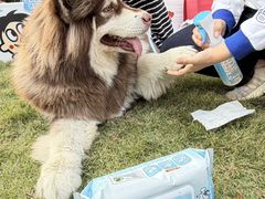 -上海神旺大酒店