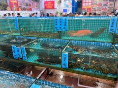 -瑶记海鲜餐厅(西涌店)