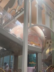 -奈尔宝·儿童乐园·亲子餐厅(星河湾店)
