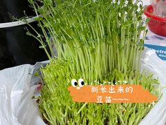 -好彩猪肚鸡(正弘城店)