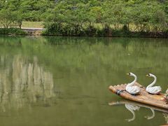 -靖西鹅泉风景区