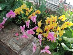 -北京植物园-展览温室