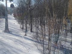 -亚布力新体委滑雪场