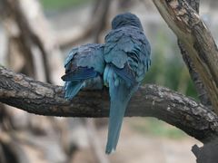 -济南野生动物世界