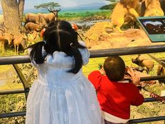 -国家自然博物馆