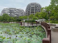-海天湖公园