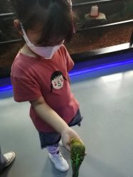 -未来动物城动物主题公园(大悦城店)