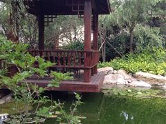 iphone_upload_pic-金石唐风国际温泉会馆