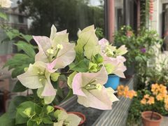 -龚家花园农家乐休闲别墅