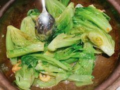 啫啫生菜煲-陶陶居酒家(海岸城店)