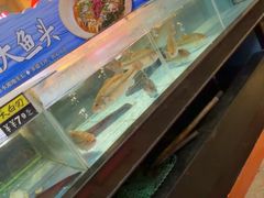 -乡里八闽·福州乡土菜(火车北站店)