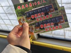 -横道河子东北虎林园
