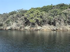 -广州莲花山旅游区