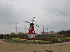 -菊园百果园