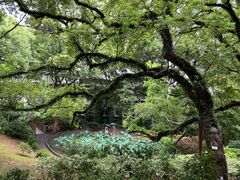 -香港大学