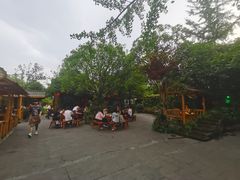 -青城甲(青城山店)