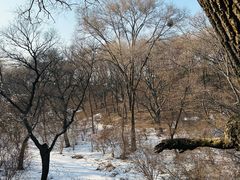 -北陵公园