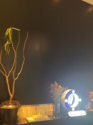 -玛莲朵·海菲秀冰珀科