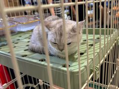 -尚泰清迈机场购物中心