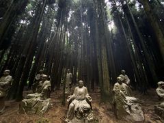 -武陵山森林公园