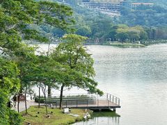 -顺峰山公园