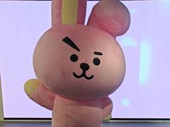 -line friends(明洞旗舰店)