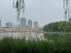 -WhaleSports户外水上运动俱乐部(朝阳公园店)