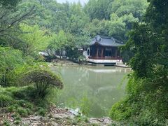 -汇龙潭