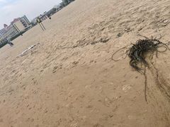 -南戴河旅游度假区