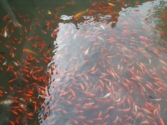 -重元寺香积厨素斋馆