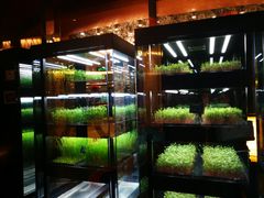 -海航大厦万豪酒店彩海轩中餐厅(霄云路店)