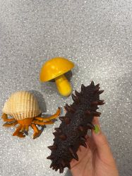 -Arkid安奈欢乐王国(百花里店)