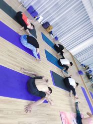 -亚太瑜伽普拉提学院