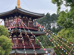 -庐山风景名胜区-东林大佛