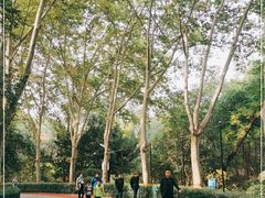 -西安市长乐公园